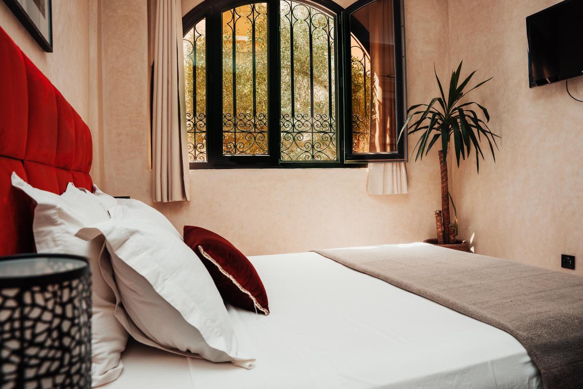 Auberge Riad Dlim Tamraght 外观 照片